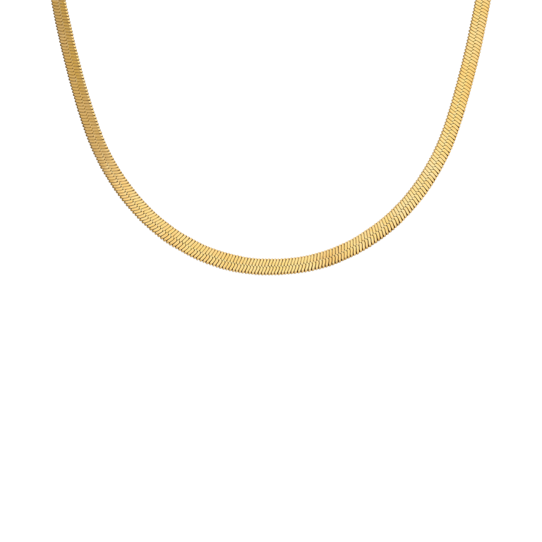 Stalen goldplated ketting voor dames