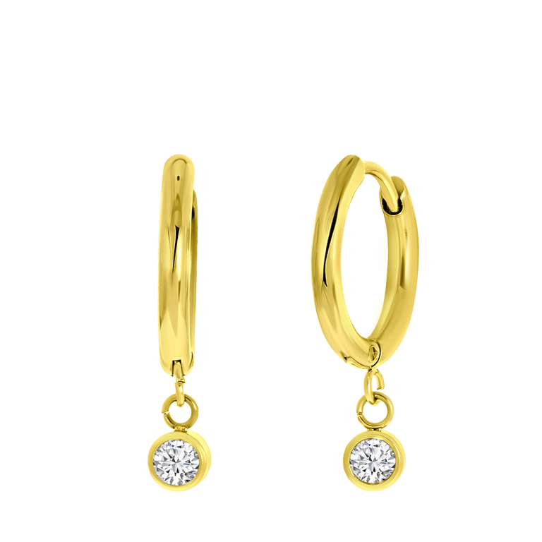 Stainless steel goldplated oorringen met hanger met zirkonia voor dames