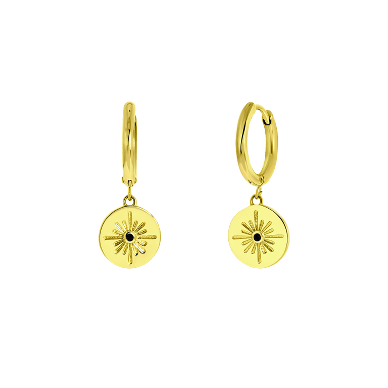 Stalen goldplated oorringen met zirkonia voor dames