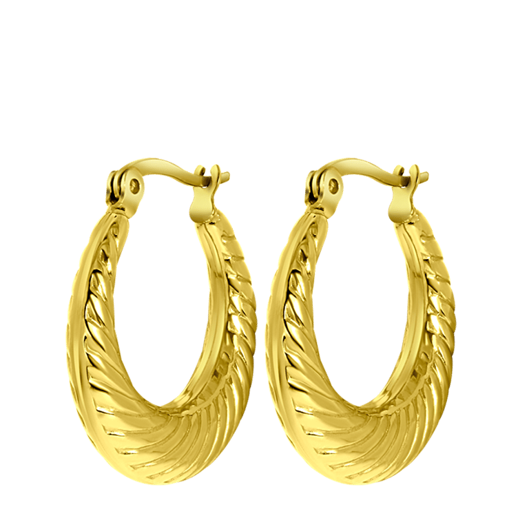 Stainless steel goldplated oorringen voor dames