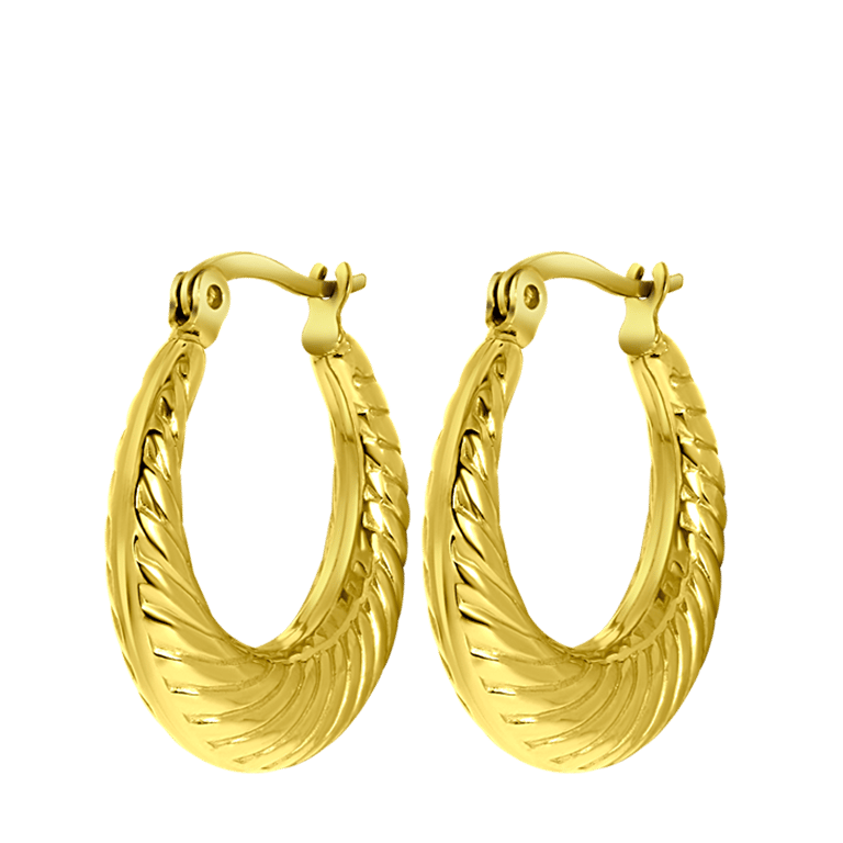 Stalen goldplated oorringen voor dames