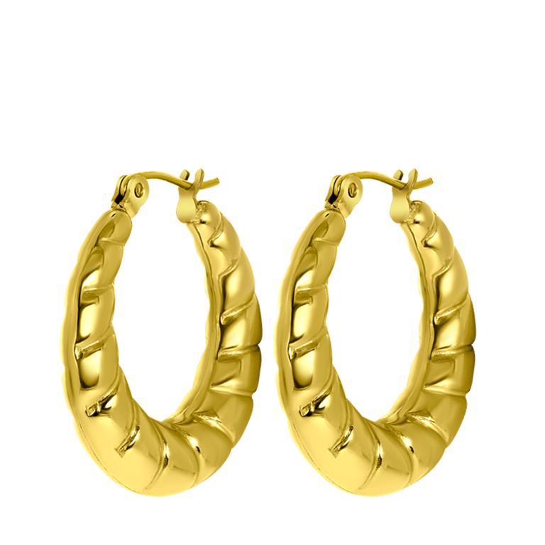 Stalen goldplated oorringen voor dames