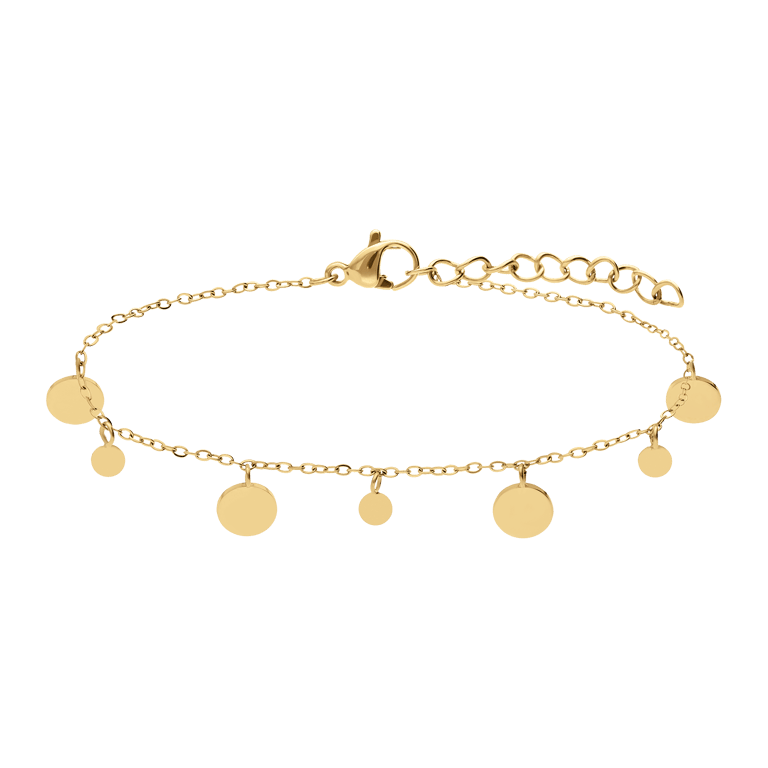 Stainless steel goldplated fantasiearmband munt voor dames