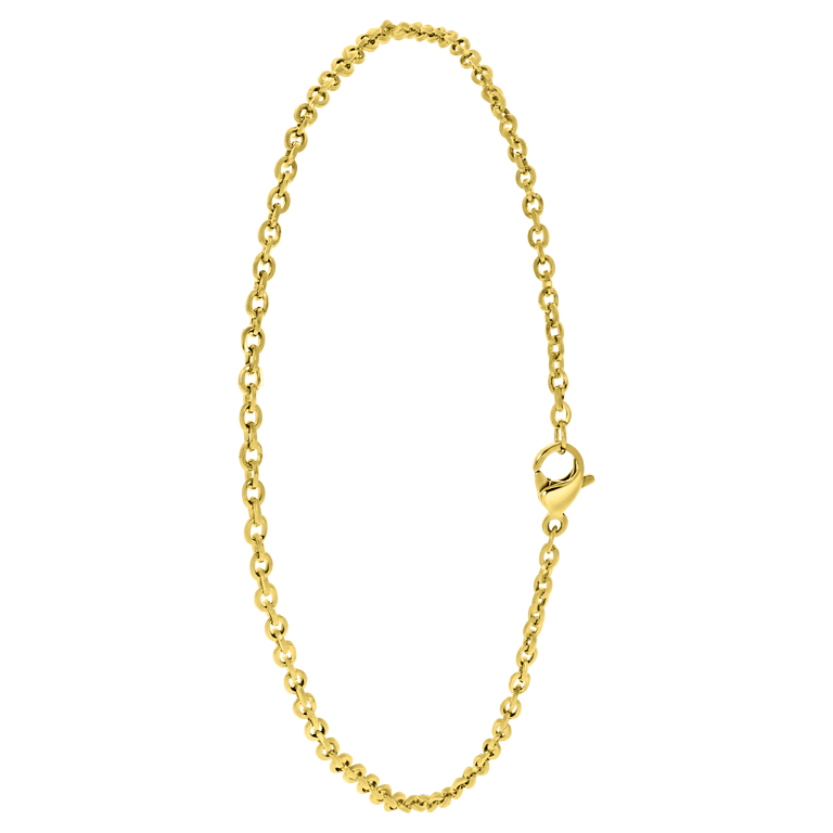 Gerecycleerd stalen goldplated enkelband anker schakel