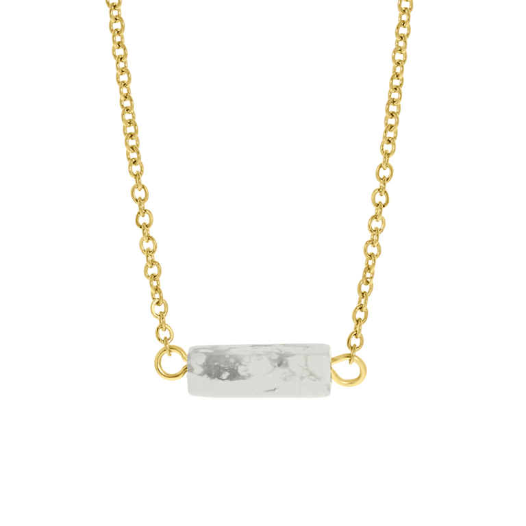 Stainless steel goldplated ketting met hanger voor dames