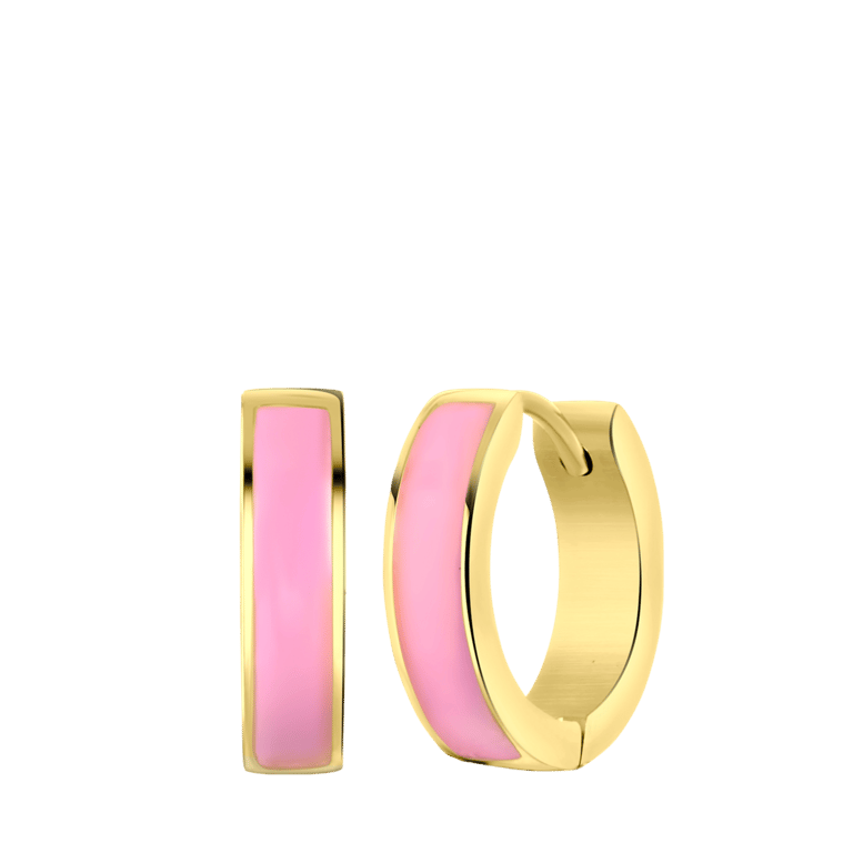 Stalen goldplated oorringen met emaille paars voor dames