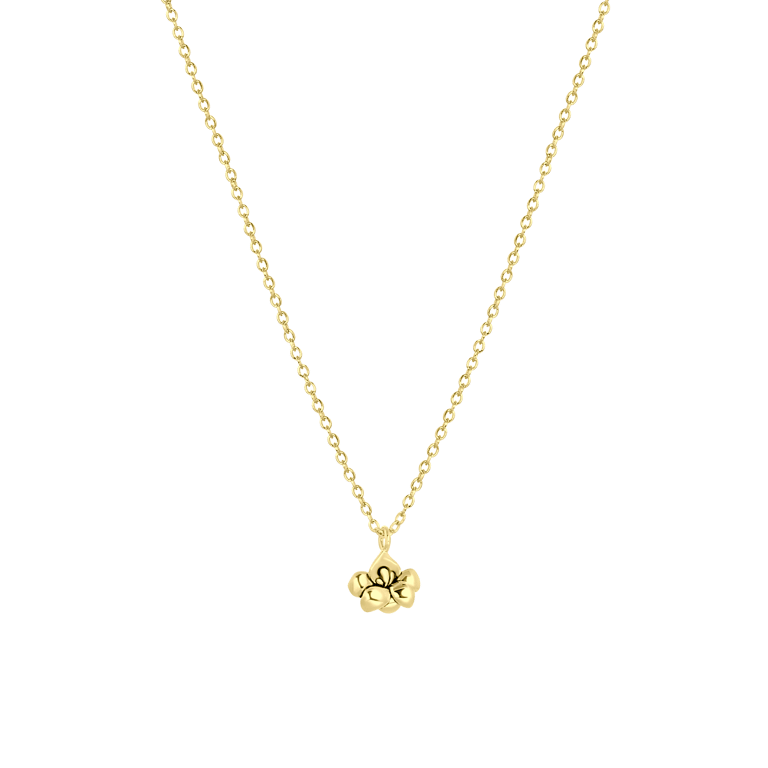 Zilveren goldplated ketting&hanger geboortebloem