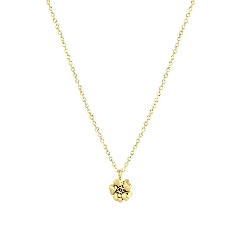 Halskette & Anhänger, 925 Silber, vergoldet, Geburtsblume