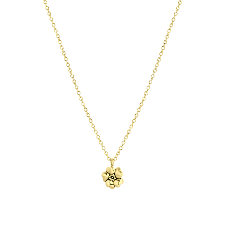 Zilveren goldplated ketting met hanger geboortebloem voor dames