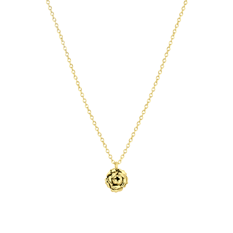 Zilveren goldplated ketting&hanger geboortebloem