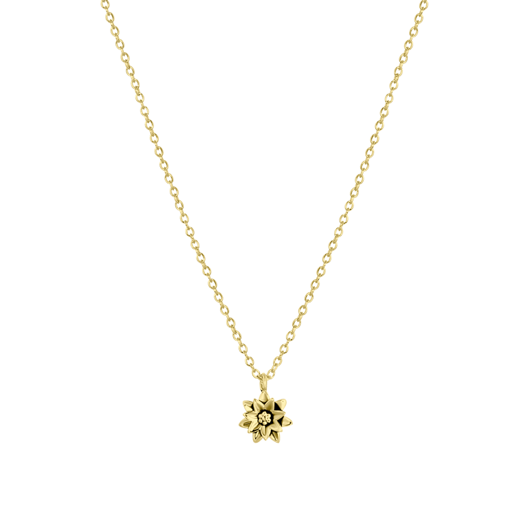 Zilveren goldplated ketting&hanger geboortebloem