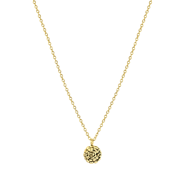 Zilveren goldplated ketting&hanger geboortebloem