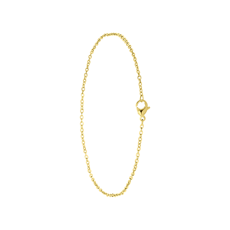 Stalen goldplated enkelbandje voor dames