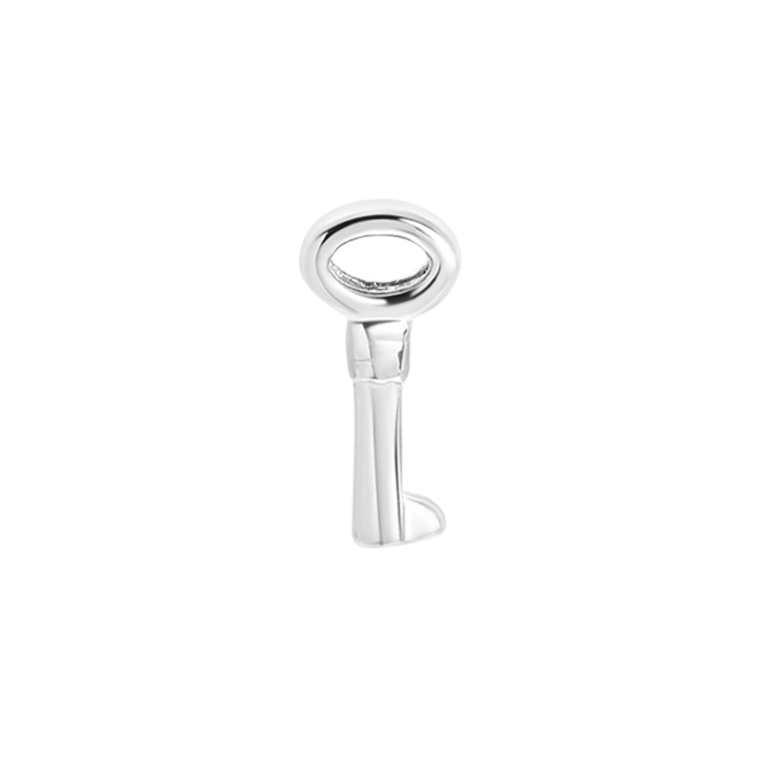 Stainless steel slider sleutel