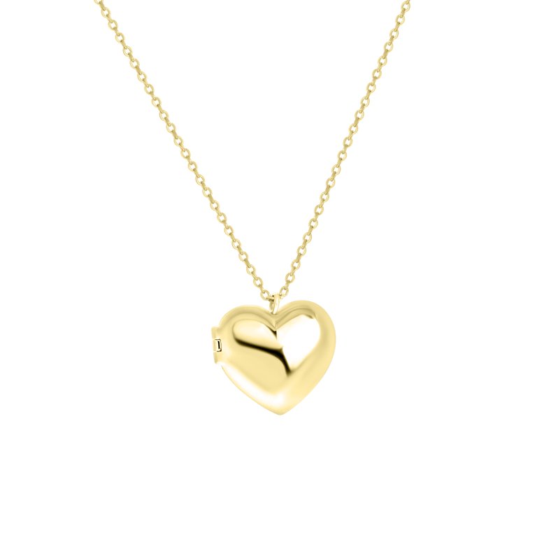 Zilveren goldplated ketting met hanger hart voor dames