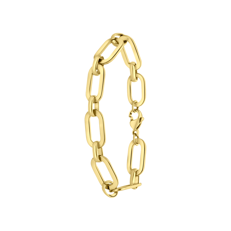 Stalen goldplated fantasiearmband voor dames