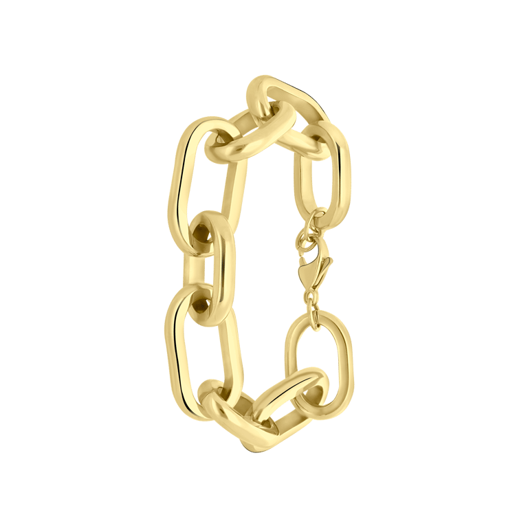 Stalen goldplated fantasiearmband voor dames