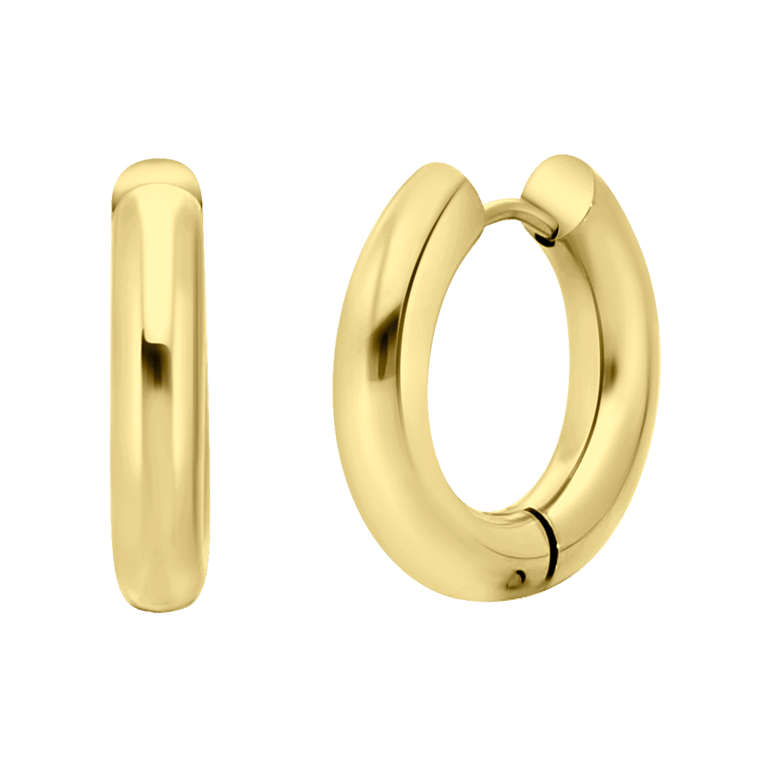 Stainless steel goldplated oorringen voor dames