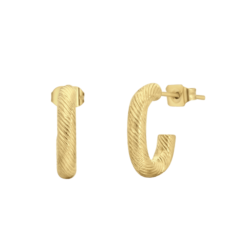 Stainless steel goldplated oorringen voor dames