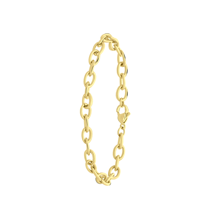 Stalen goldplated fantasiearmband voor dames