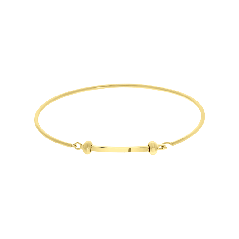 Stainless steel goldplated bangle voor dames