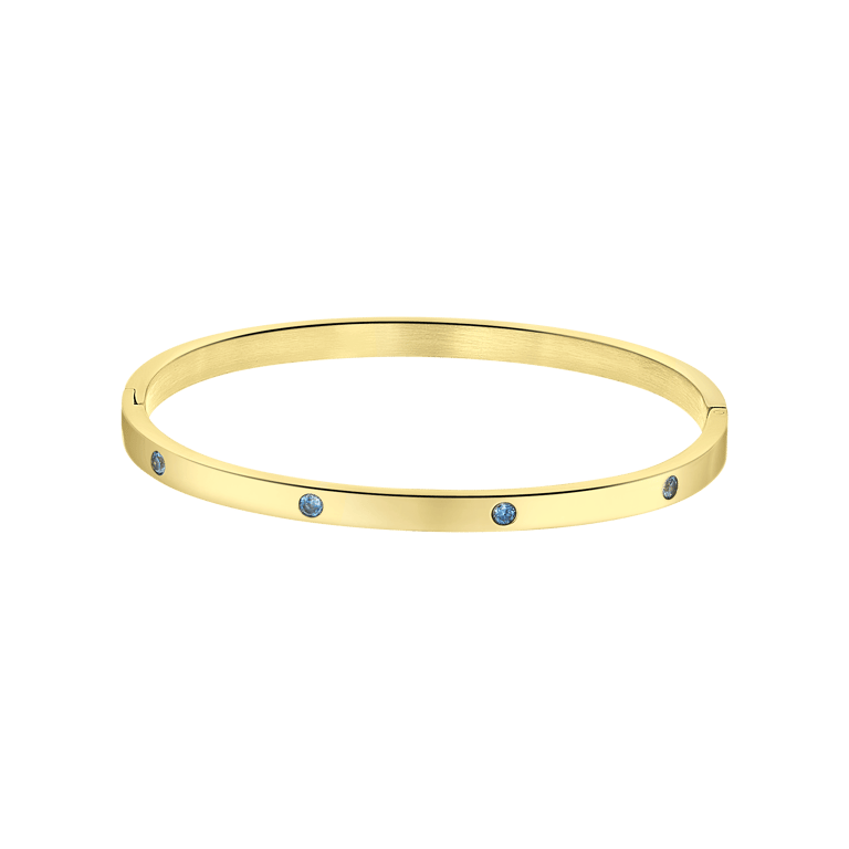 Stalen goldplated bangle met geboortesteen voor dames