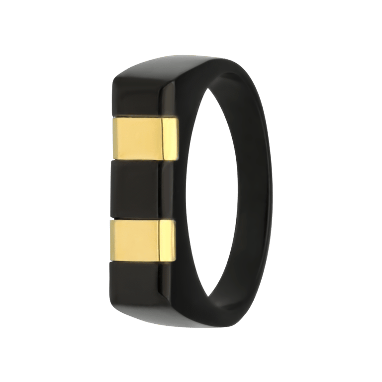 Gerecycled stalen blackplated heren ring streep goldplated