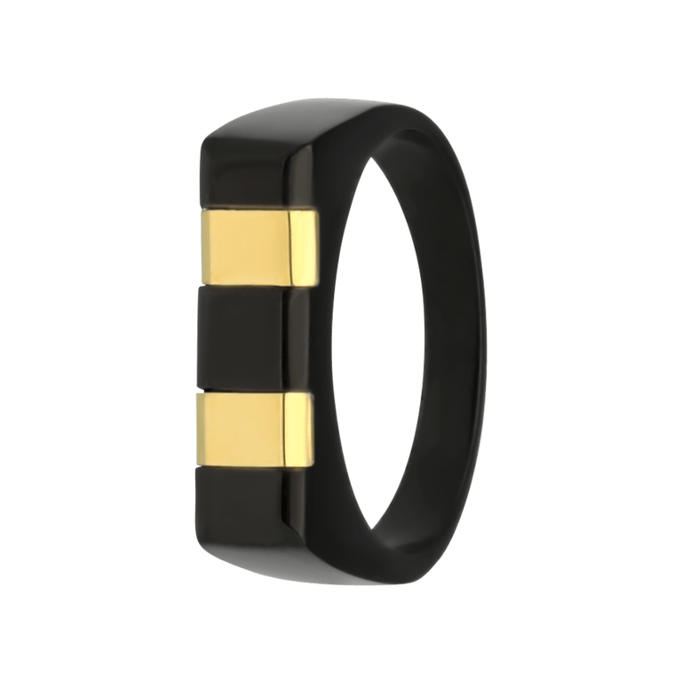 Gerecycleerd stainless steel blackplated heren ring streep goldplated