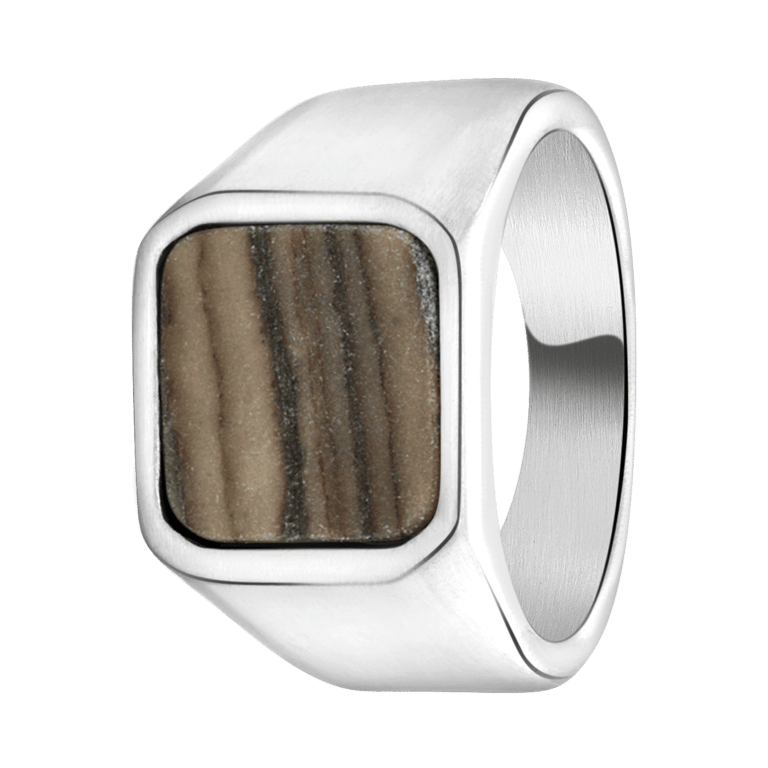 Gerecycleerd stainless steel heren zegelring picasso jasper