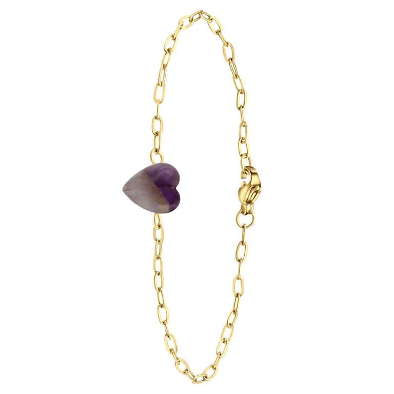 Stalen goldplated fantasiearmband met hanger hart met amethyst voor dames