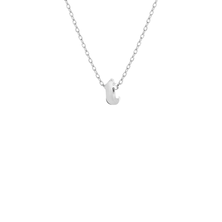 Stainless steel ketting met hanger letter