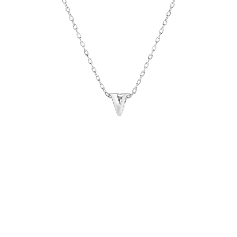 Stainless steel ketting met hanger letter