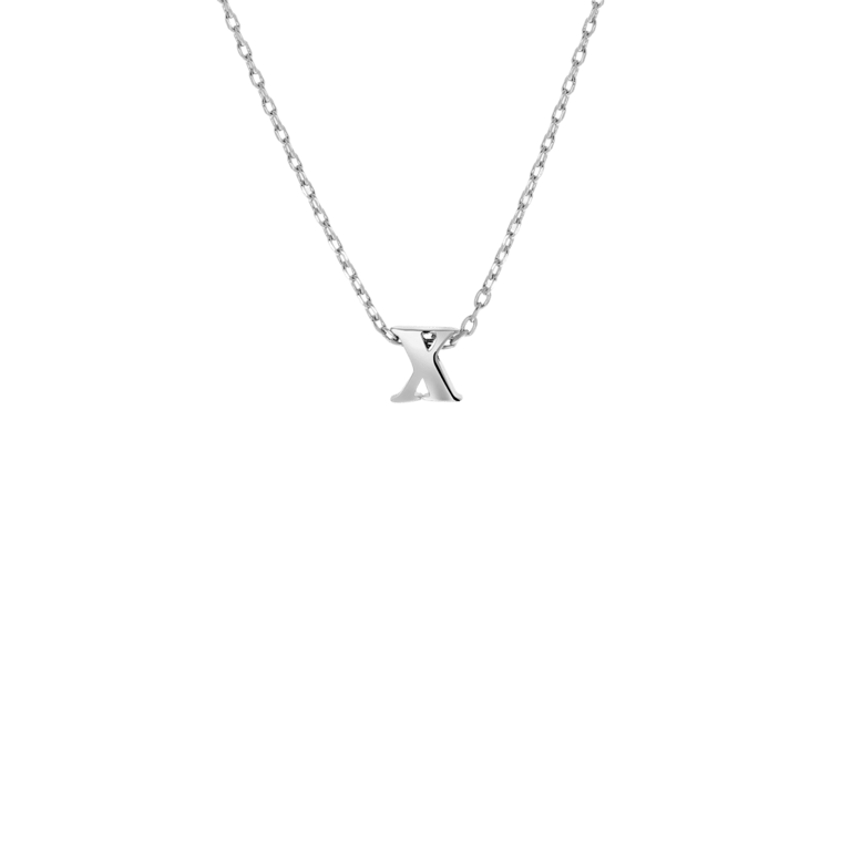 Stainless steel ketting met hanger letter