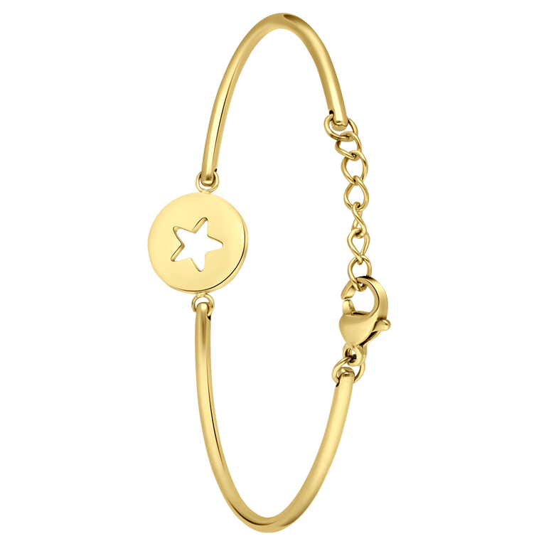 Stalen goldplated fantasiearmband met hanger voor dames