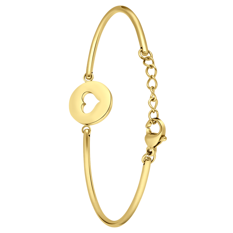 Stalen goldplated fantasiearmband met hanger voor dames