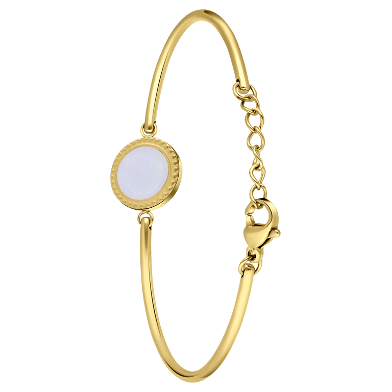 Stalen goldplated fantasiearmband met hanger voor dames