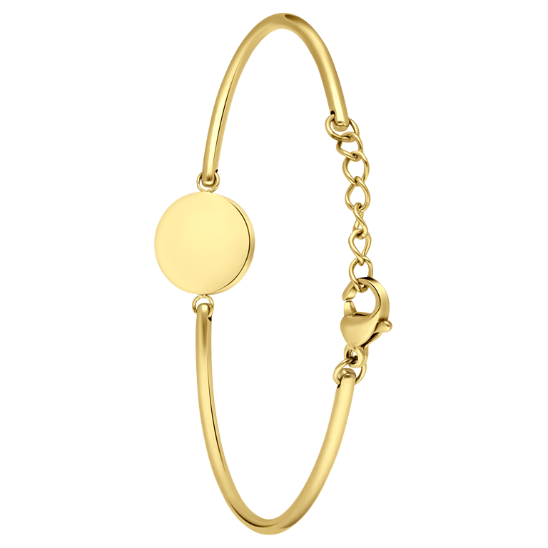 Stalen goldplated fantasiearmband munt voor dames