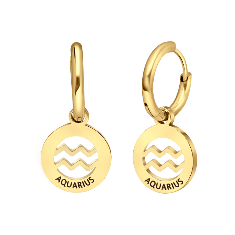 Stalen goldplated oorbellen met sterrenbeeld waterman