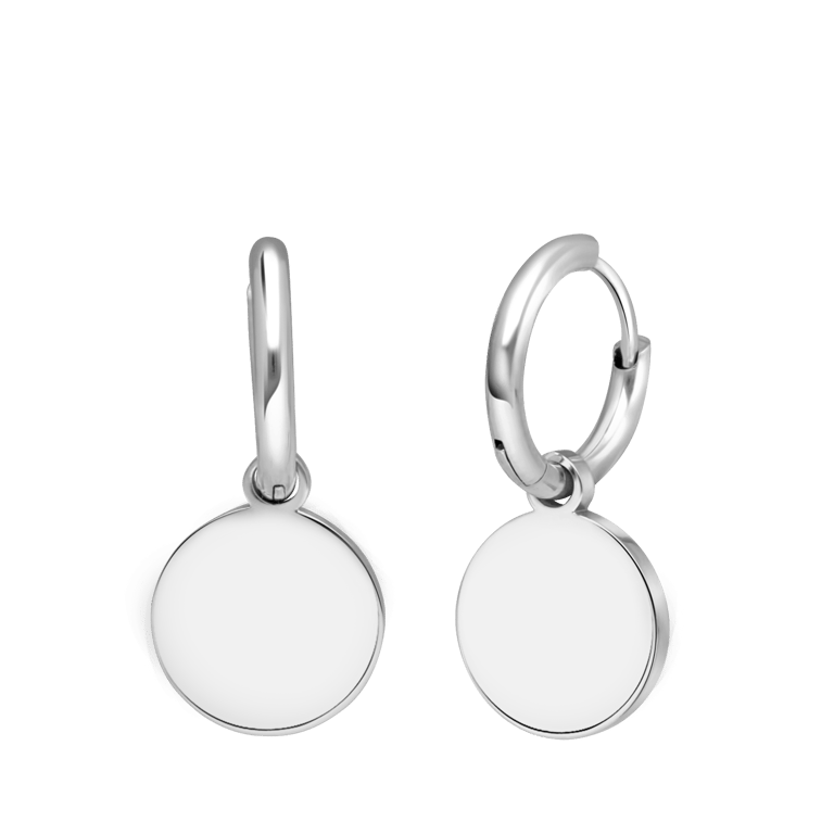 Stalen oorbellen met munt