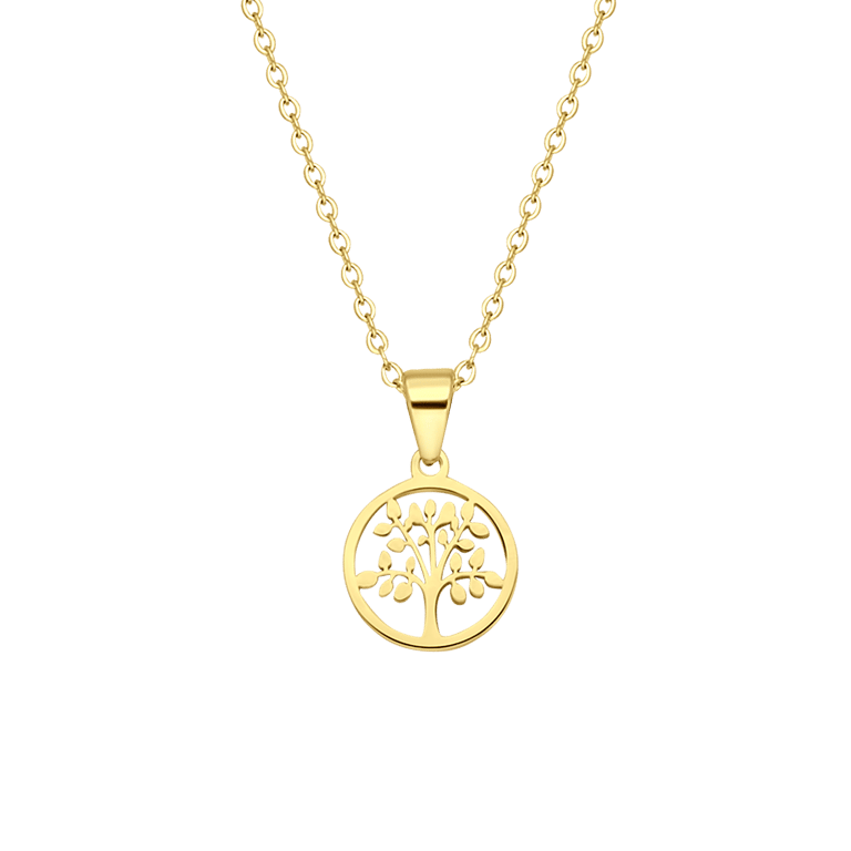 Stalen goldplated ketting met hanger munt voor dames