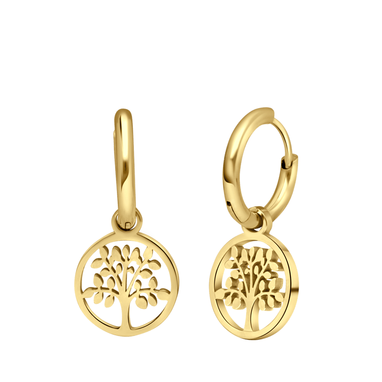 Stalen goldplated oorringen met munt voor dames