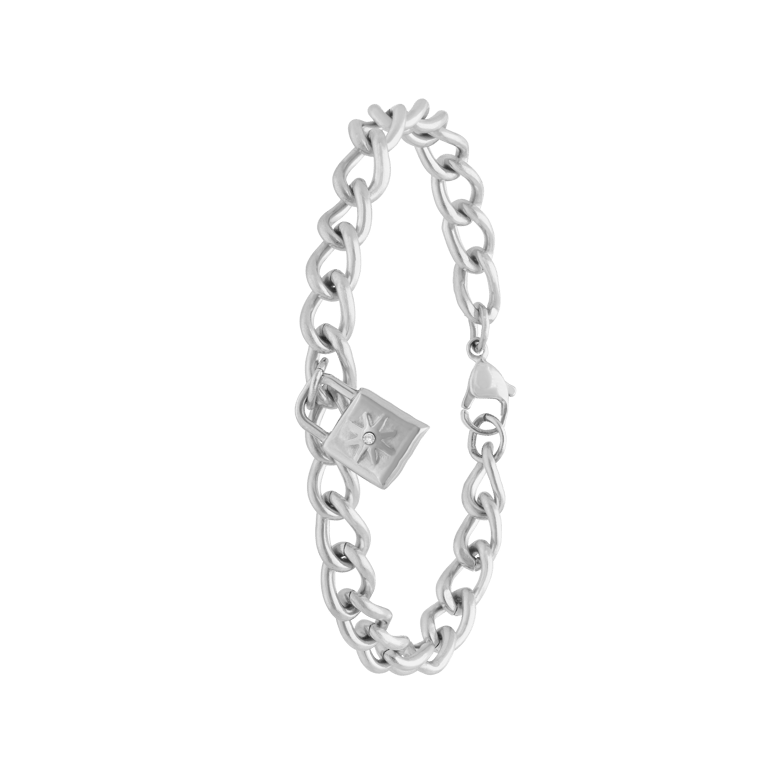 Stainless steel gourmet armband met slotje