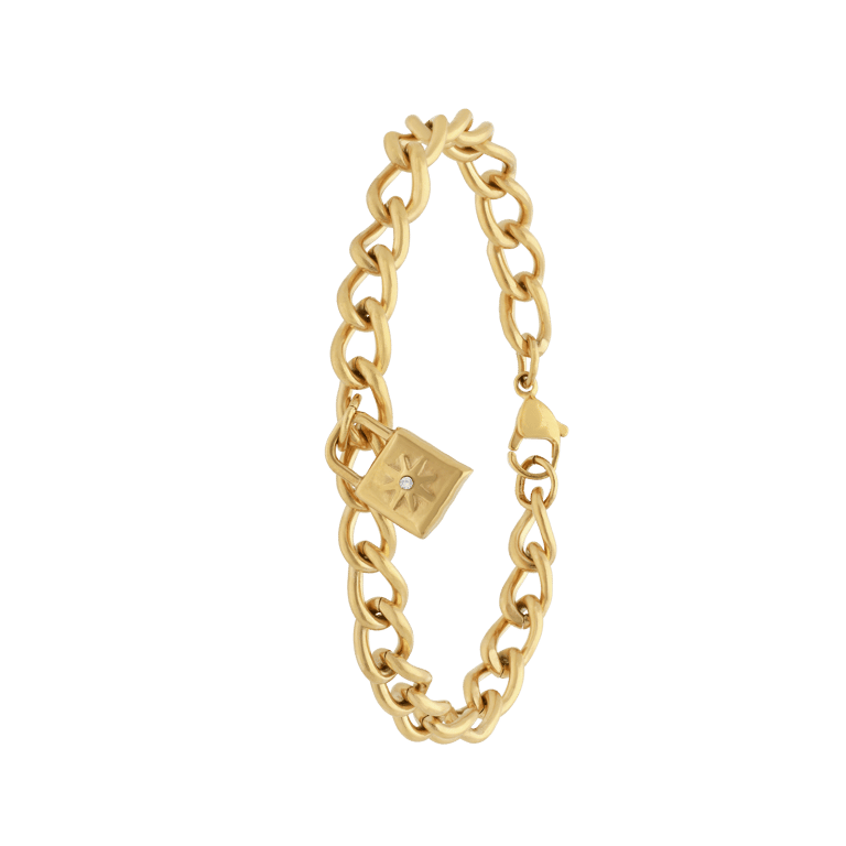 Stainless steel goldplated fantasiearmband met hanger met slotje voor dames