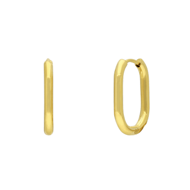 Stainless steel goldplated oorringen voor dames