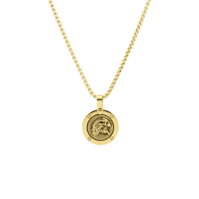 Stalen goldplated herenketting met hanger munt