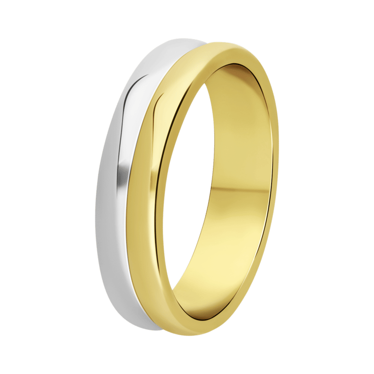 Silberner Ring 2-farbig