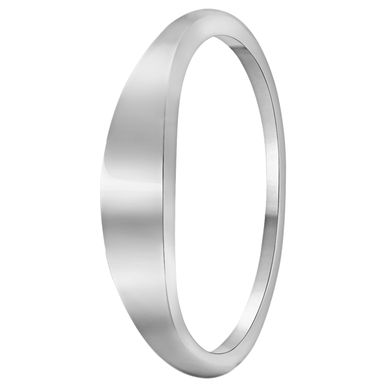 Silberner Ring rhodiniert