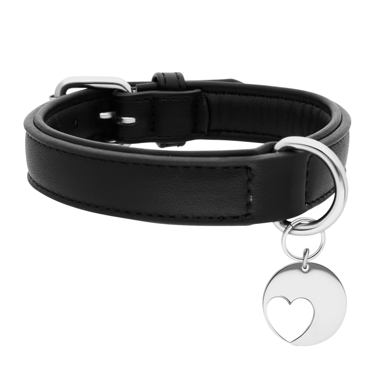 PU Leren halsband met stalen halsband hanger hart