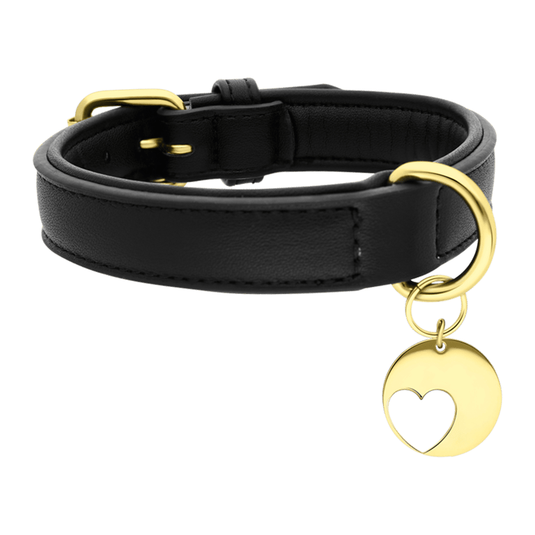 Hundehalsband aus Leder mit Anhänger aus Edelstahl