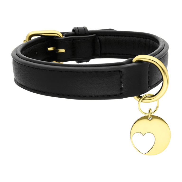 PU Leren halsband met stalen goldplated halsband hanger hart